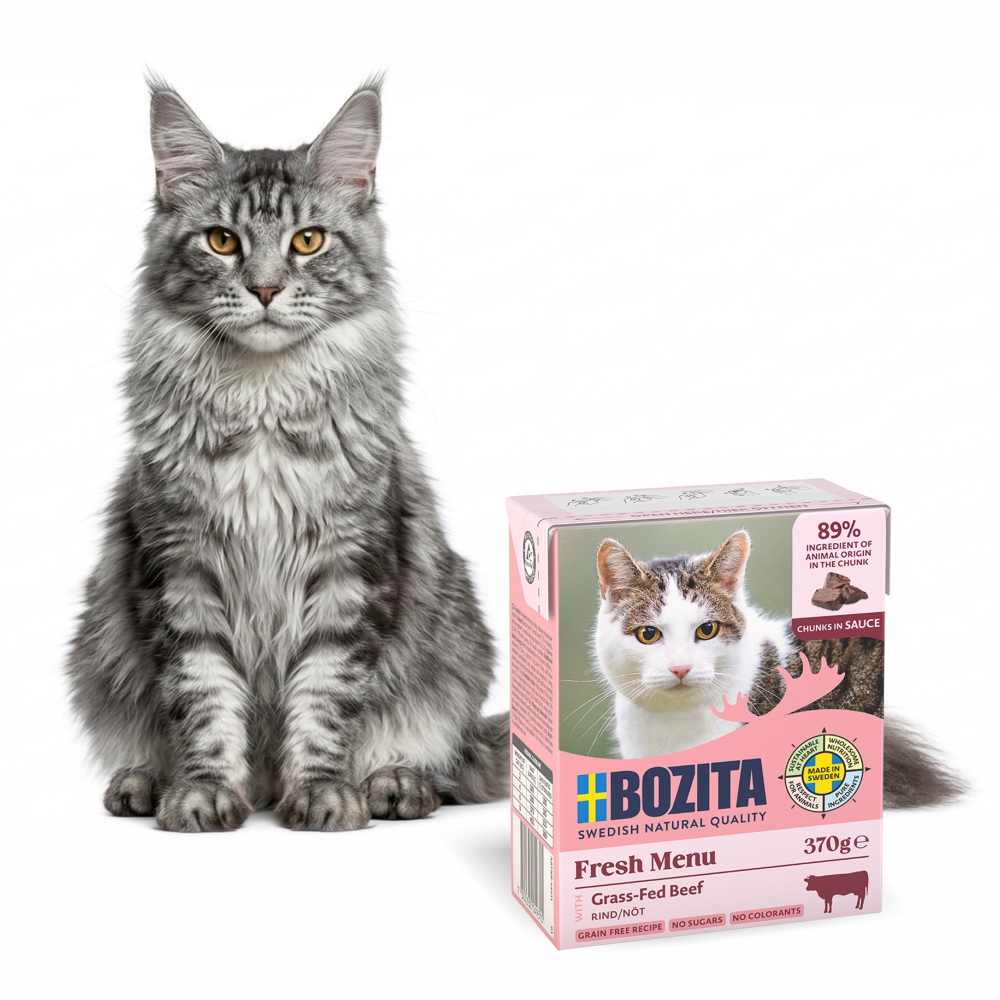 BOZITA dla kota kawałeczki w sosie z wołowiną 370g
